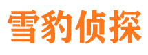 鼓楼市侦探公司